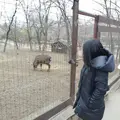 Я Дина, 23, знакомлюсь для регулярного секса в Цимлянске