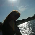 Я Елена, 27, знакомлюсь для вирта в Енакиеве