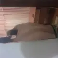 Олег из Северской, мне 39, познакомлюсь для регулярного секса