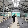 Nik из Сарапула, ищу на сайте секс на одну ночь
