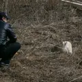 Дима из Омутнинска, ищу на сайте приятное времяпровождение
