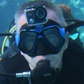 Я Павел, 60, из Волхова, ищу знакомство для регулярного секса