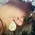 Я Елизаветта, 35, из Севастополя, ищу знакомство для регулярного секса