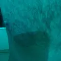 Семён из Ишима, ищу на сайте регулярный секс
