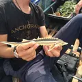 Я Алексей, 47, из Астрахани, ищу знакомство для приятного времяпровождения