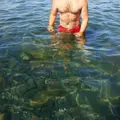 Алексей из Великого Новгорода, ищу на сайте секс на одну ночь