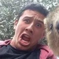 Я Timchi, 36, знакомлюсь для секса на одну ночь в Черкесске