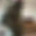 Я Гарик, 47, знакомлюсь для открытые отношения в Москве