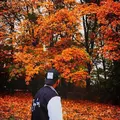 Я Адмон, 25, знакомлюсь без обязательств в Бронницах