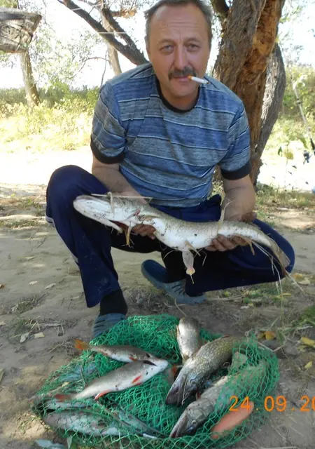 Я Cark, 62, из Белых Столбов, ищу знакомства на одну ночь