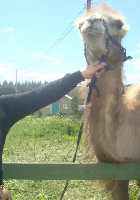 Андрей из Можайска, мне 40, познакомлюсь для дружбы