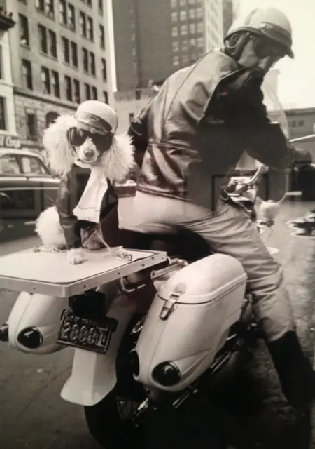 Я Александр, 52, из Боброва, ищу знакомство для приятного времяпровождения