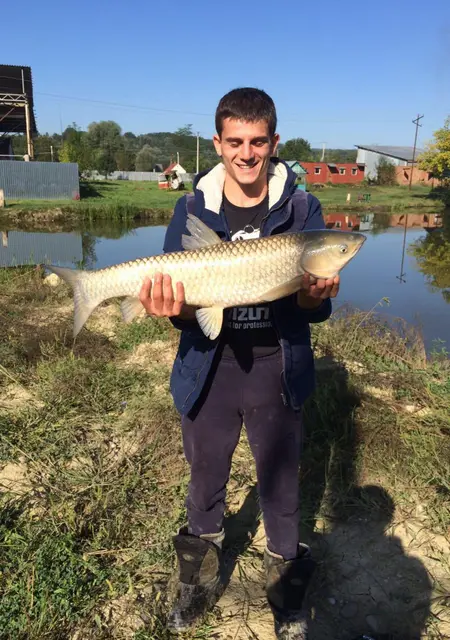 Я Сергей, 33, знакомлюсь без обязательств в Архипо-Осиповке