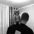 Артем из Липецка, ищу на сайте приятное времяпровождение